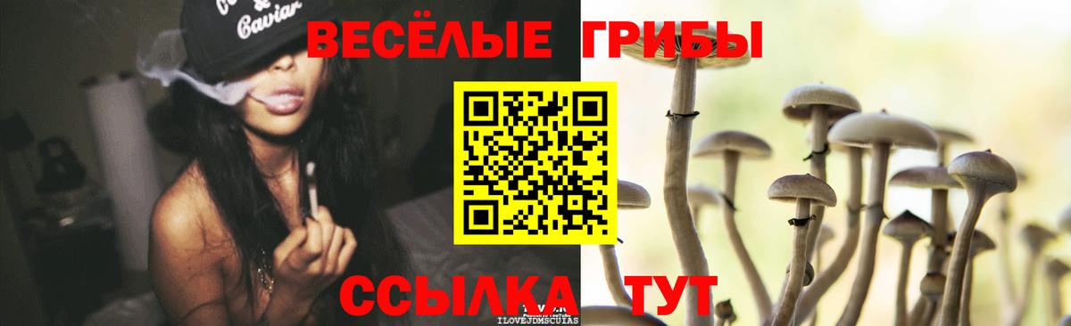 Псилоцибиновые грибы Psilocybe  Вход с VPN  Советская Гавань  Псилоцибиновые грибы MAGIC MUSHROOMS 